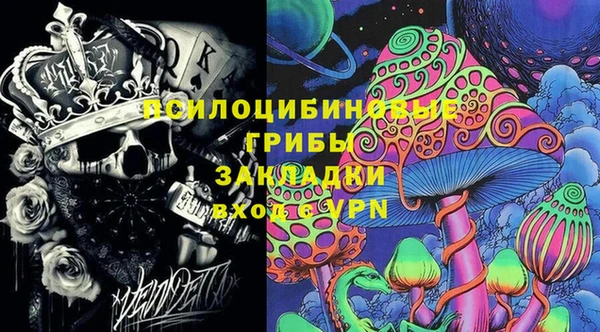 ПСИЛОЦИБИНОВЫЕ ГРИБЫ Алексин