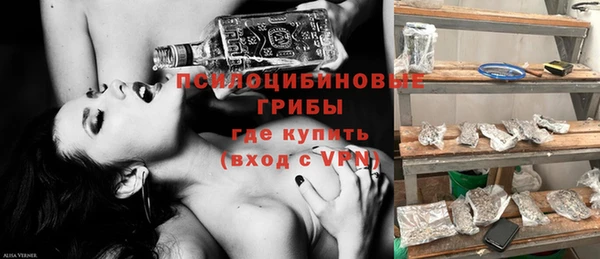 ПСИЛОЦИБИНОВЫЕ ГРИБЫ Алексин
