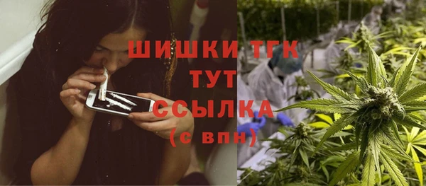 ПСИЛОЦИБИНОВЫЕ ГРИБЫ Алексин
