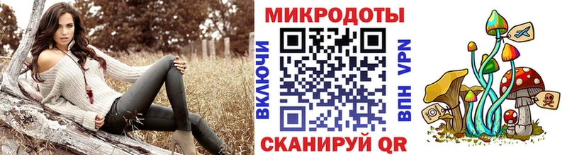 где купить   Новоуральск  блэк спрут ONION  Галлюциногенные грибы Magic Shrooms 